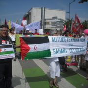Sahraouis