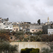 palestine