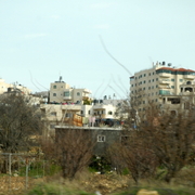 palestine 20120130