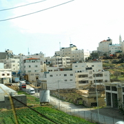 palestine 20120127