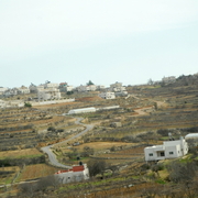palestine 20120131