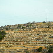 palestine 20120133