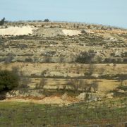 palestine 20120135