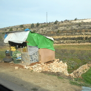 palestine 20120136