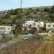 palestine 20120138
