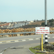 palestine 20120143