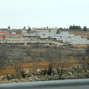 palestine 20120145