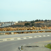 palestine 20120144