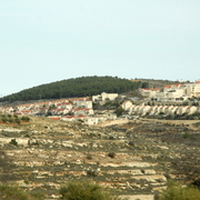 palestine 20120147