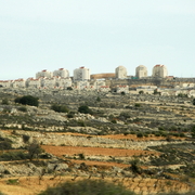palestine 20120150