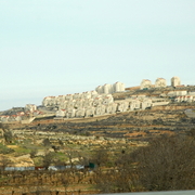 palestine 20120149