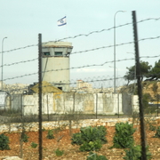 palestine 20120154