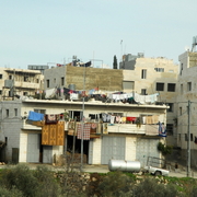 palestine 20120160