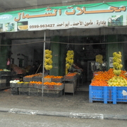 palestine 20120164