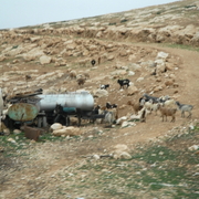 palestine 20120204