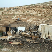 palestine 20120205