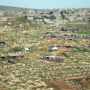 palestine 20120208