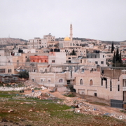 palestine 20120210