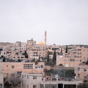 palestine 20120209