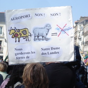 Manifestation contre l'Ayrault port ND des Landes