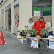 1er mai 2013 20130501 0001