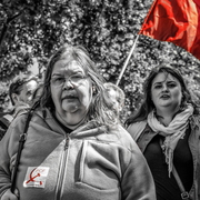 Manifestantes