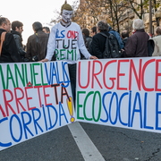 Pancartes