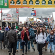 Avenue Pasolini