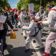 Cellule de dÃ©macronisation
