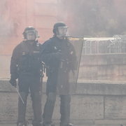 Couleur rose socialiste