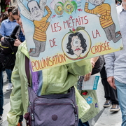 Pollinisation