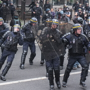 Meute