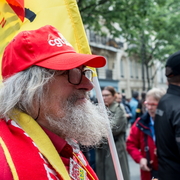 Manifestant