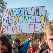 pancarte
