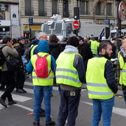 gilets