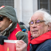 Manifestant