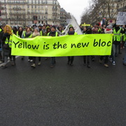 Yellowvest