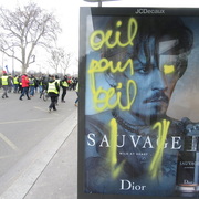 Sauvage