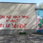 Plus belle la vie