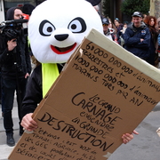 panda