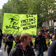 Frelons