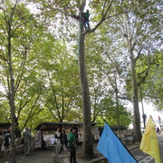 Perché