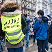 Dos jaune