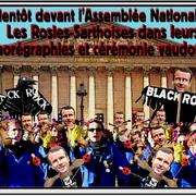 les Rosies-Sarthoises devant l'assemblée nationale