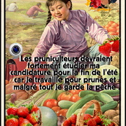 en réponse à la porte-parole de la Macronie 4