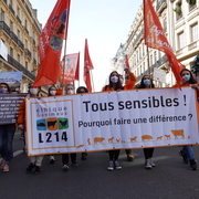 tous sensibles