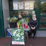 muguet