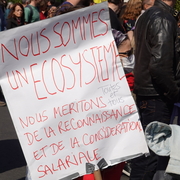 Ecosystème
