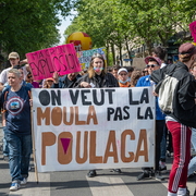 La moula