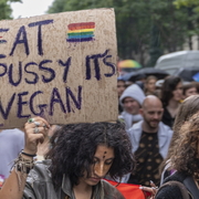 Vegan ?
